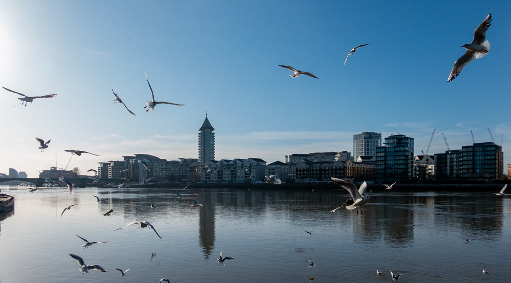 Thames at Battersea