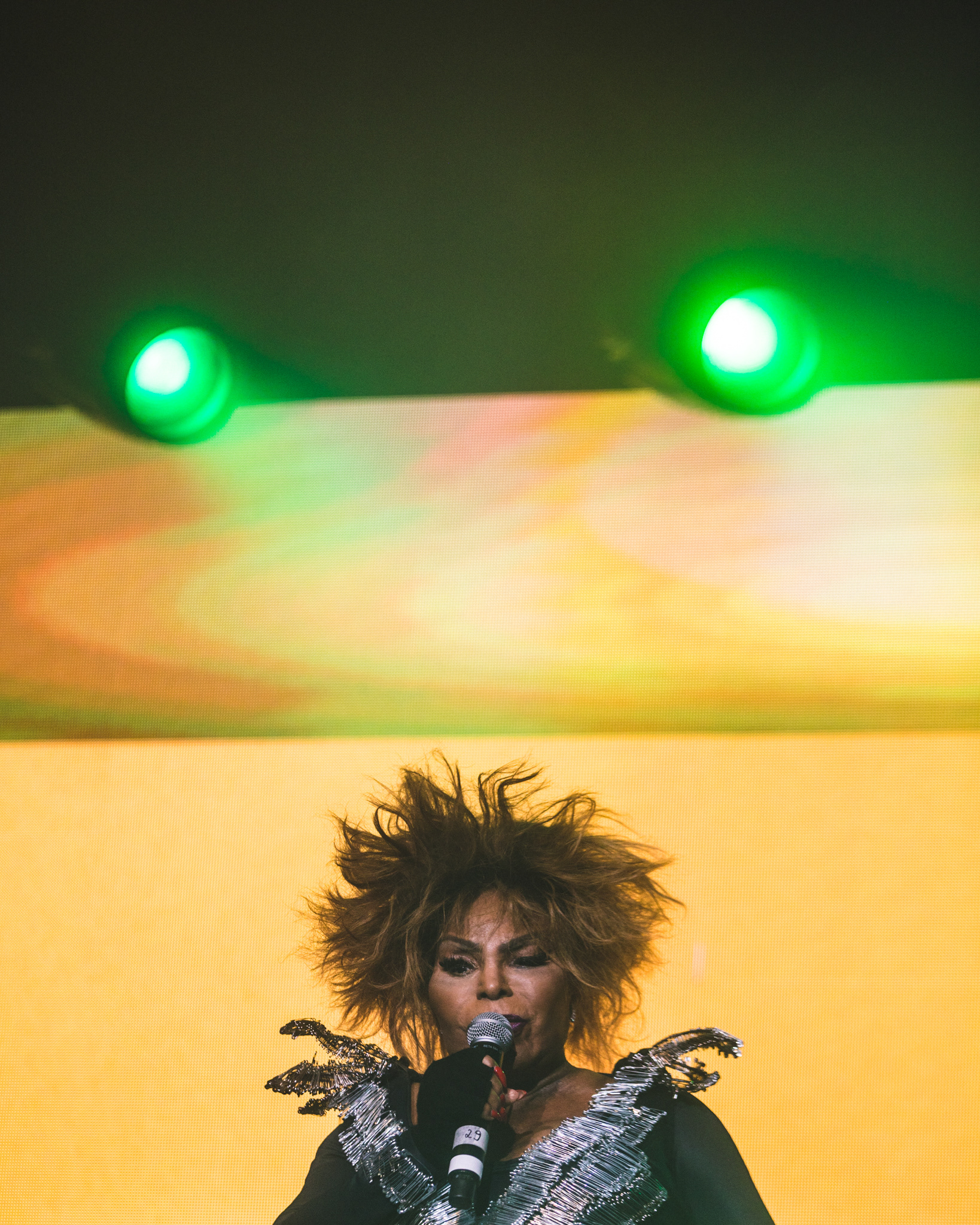 Elza Soares @ Balaclava Fest