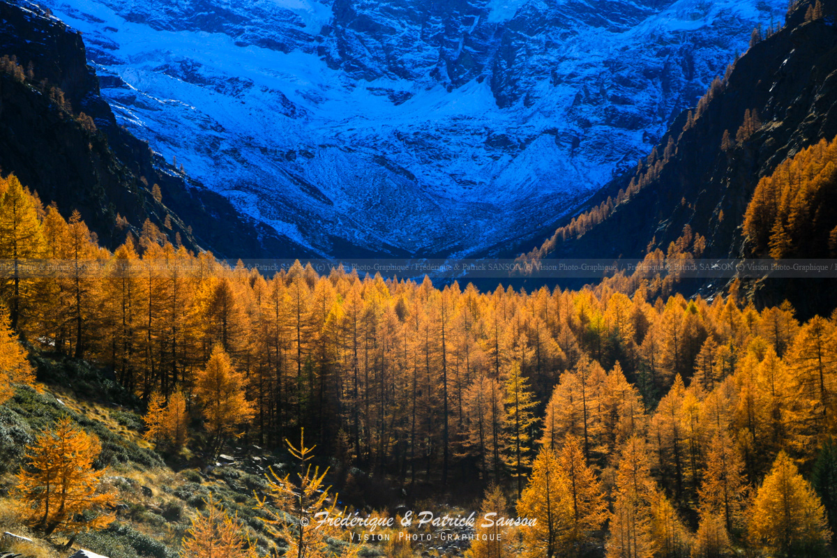 Grand Paradis