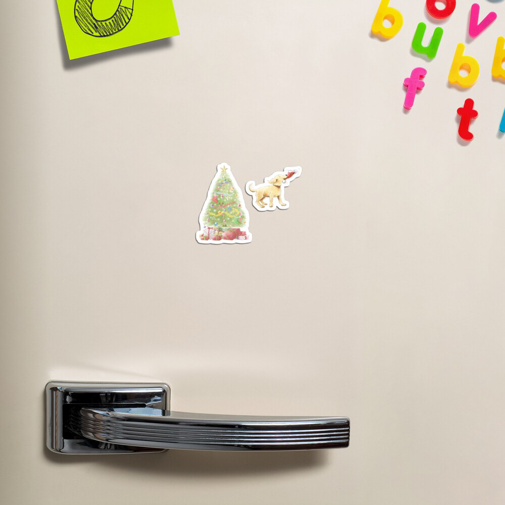 Magnets