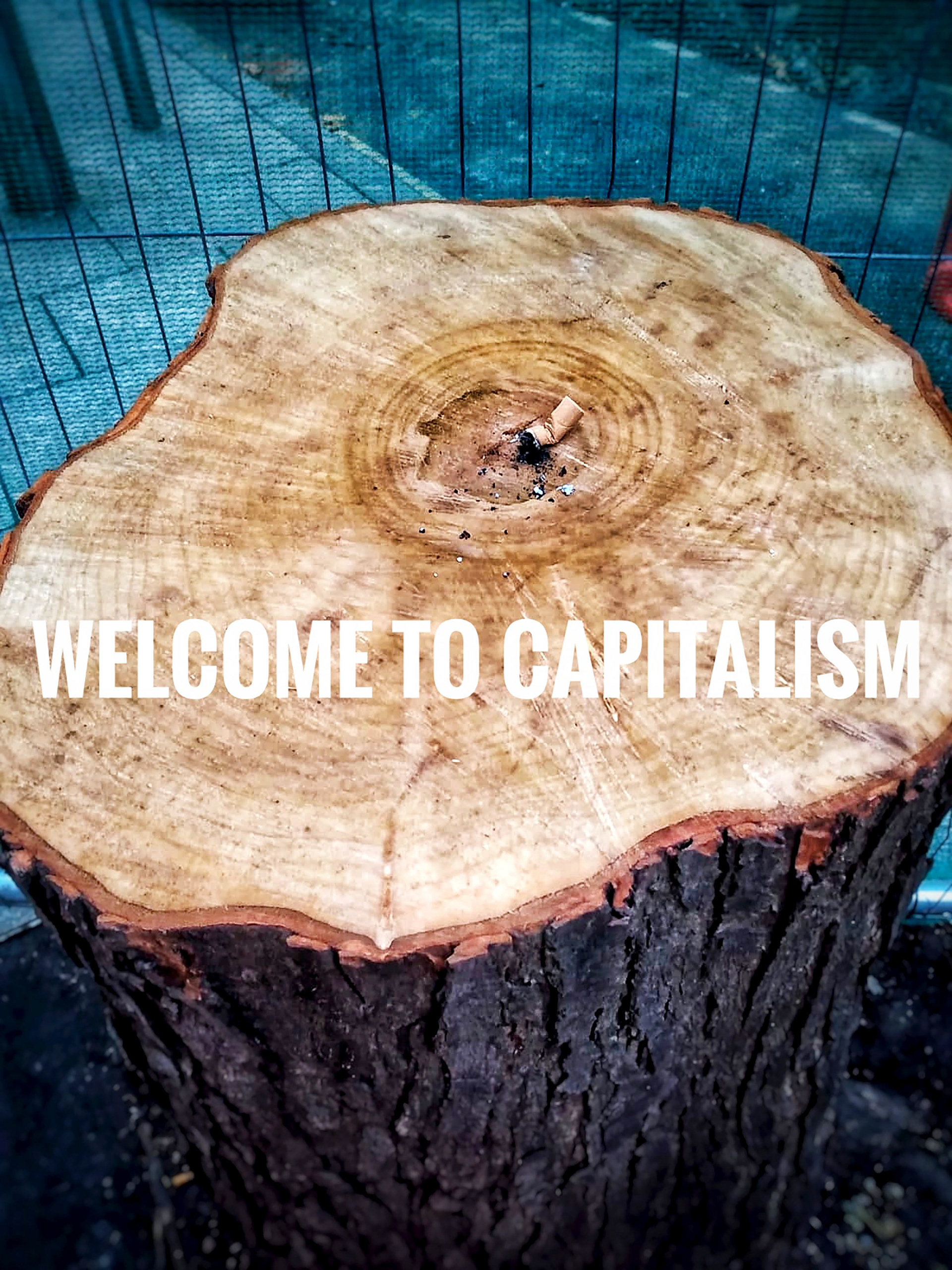 'Welcome to Capitalism'