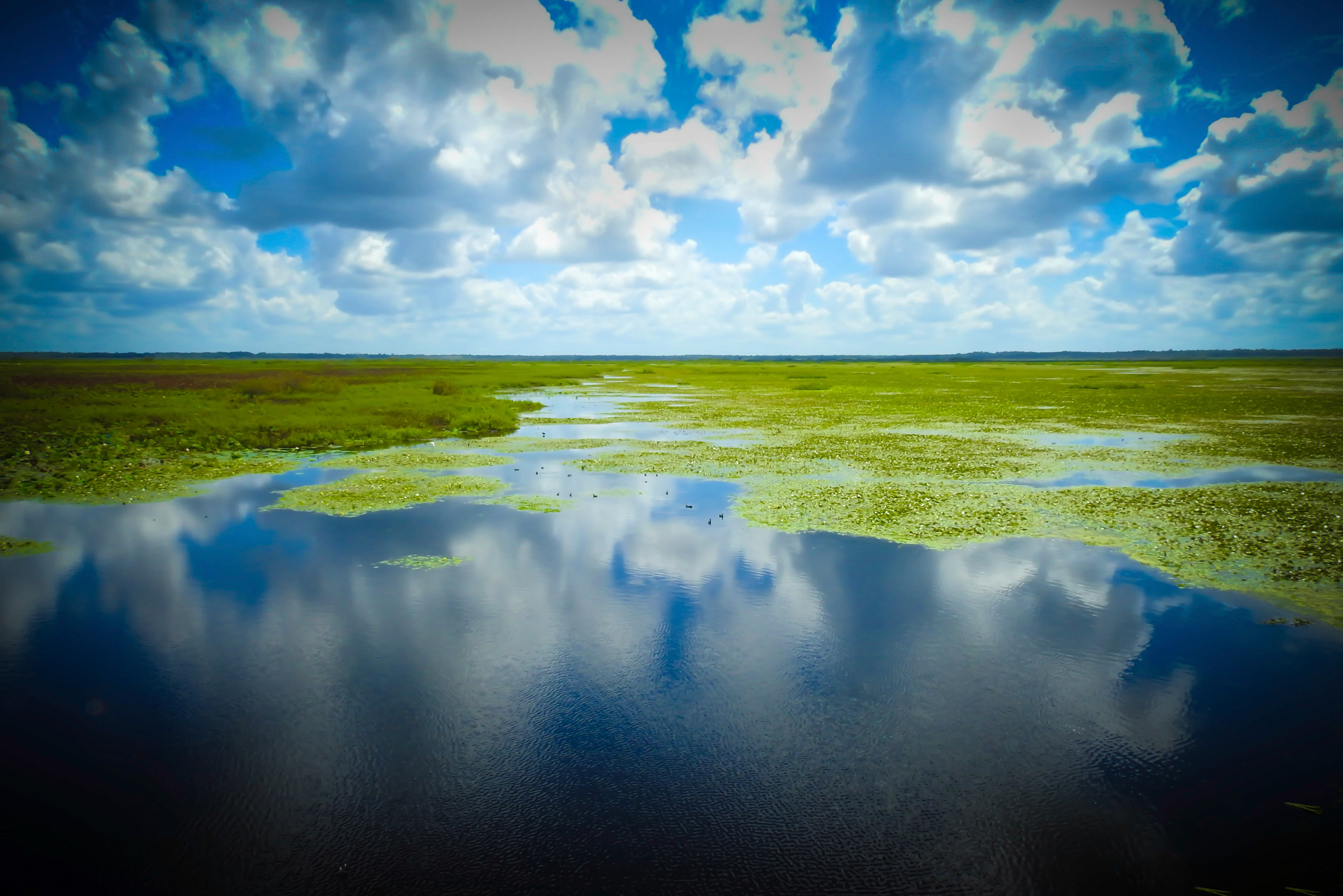 Paynes Prairie Best Overall 2018