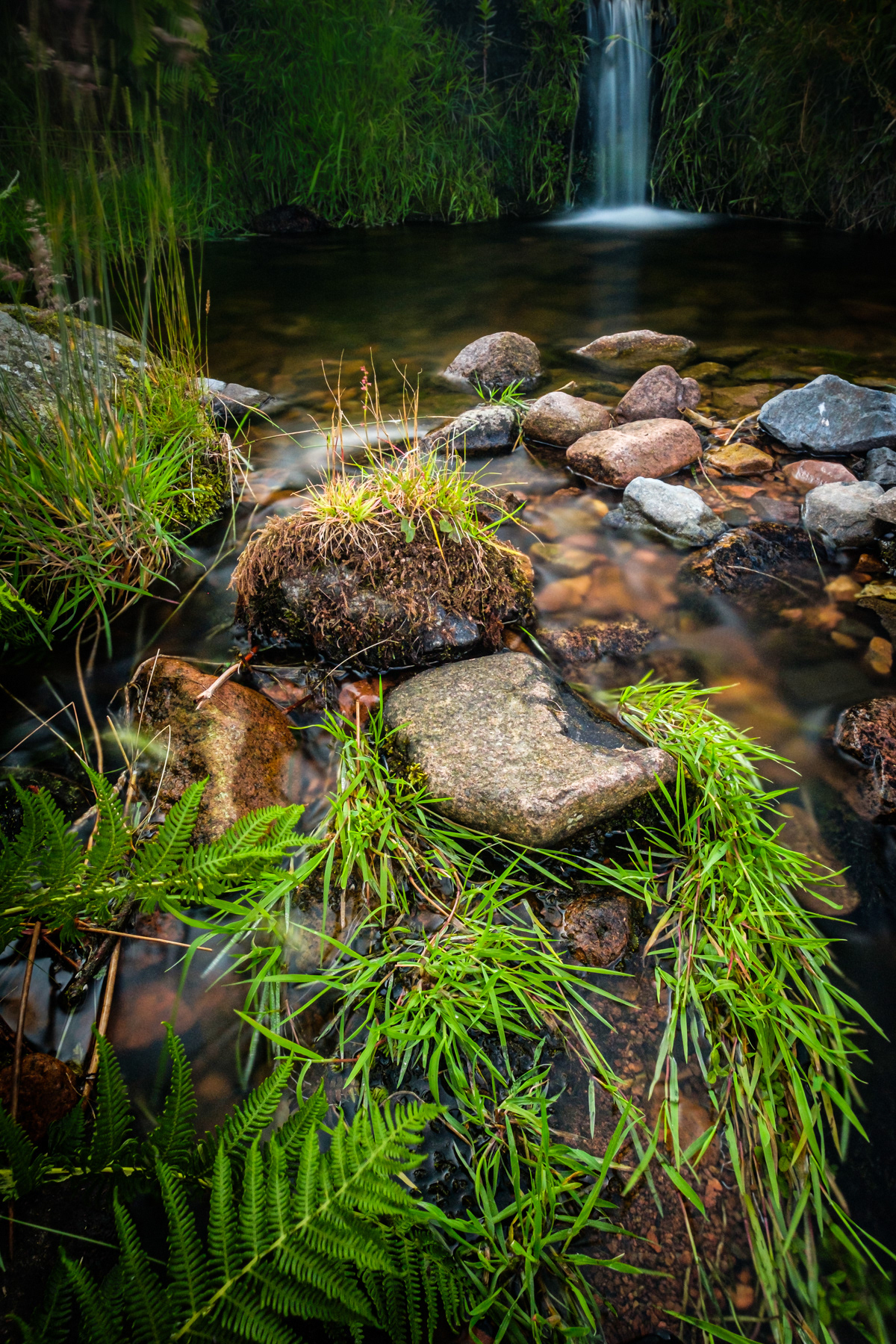 A small waterfall and pool in the Cheviot hills.