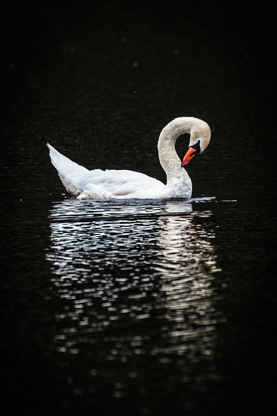 Grooming