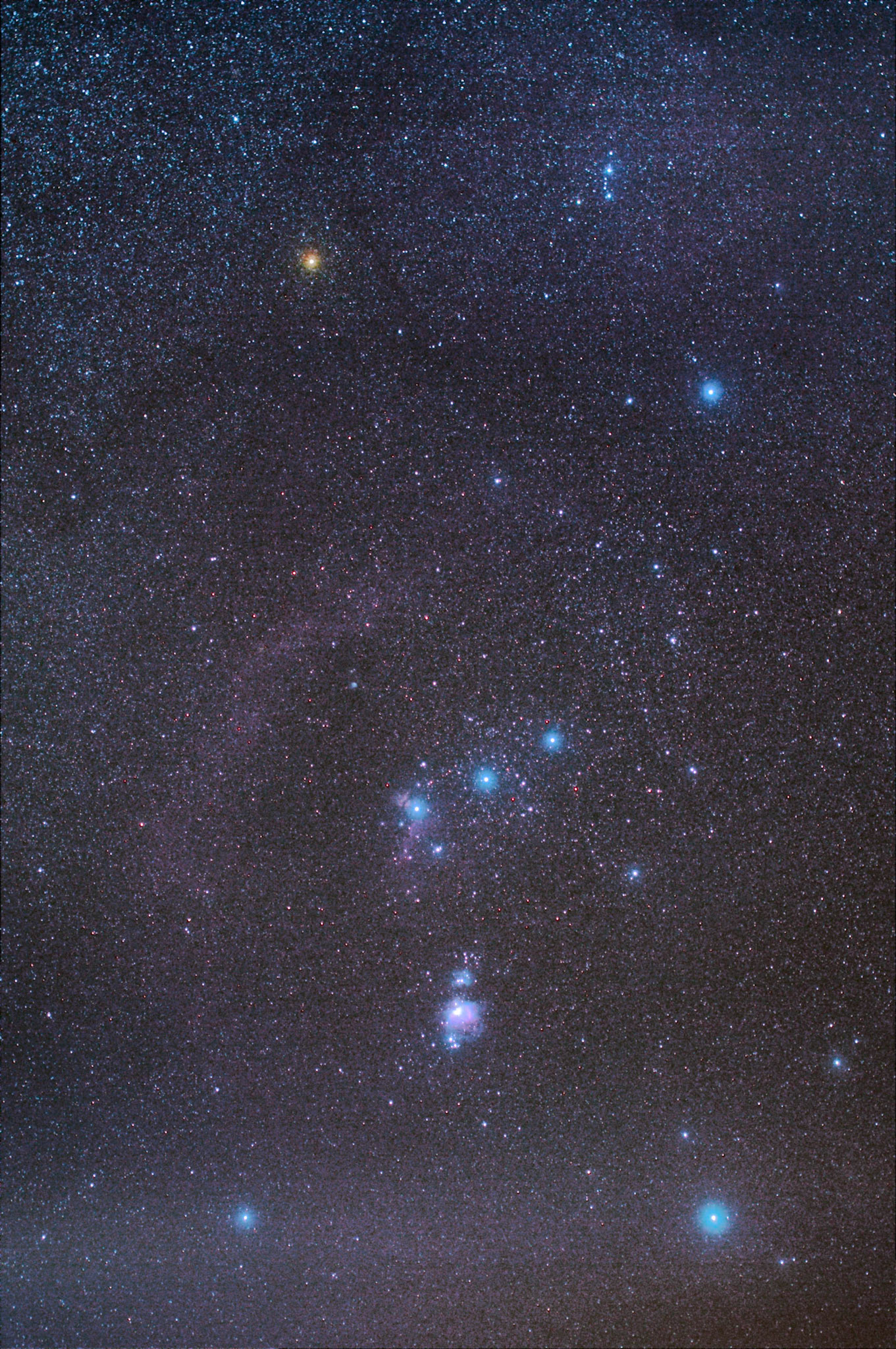 Orion