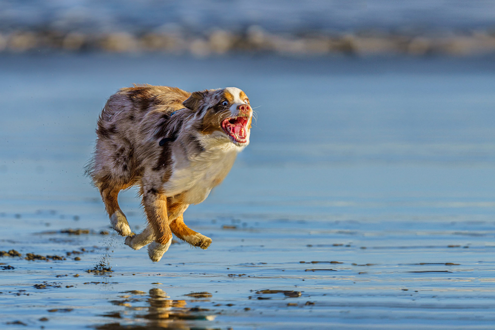 Catch me if you can.