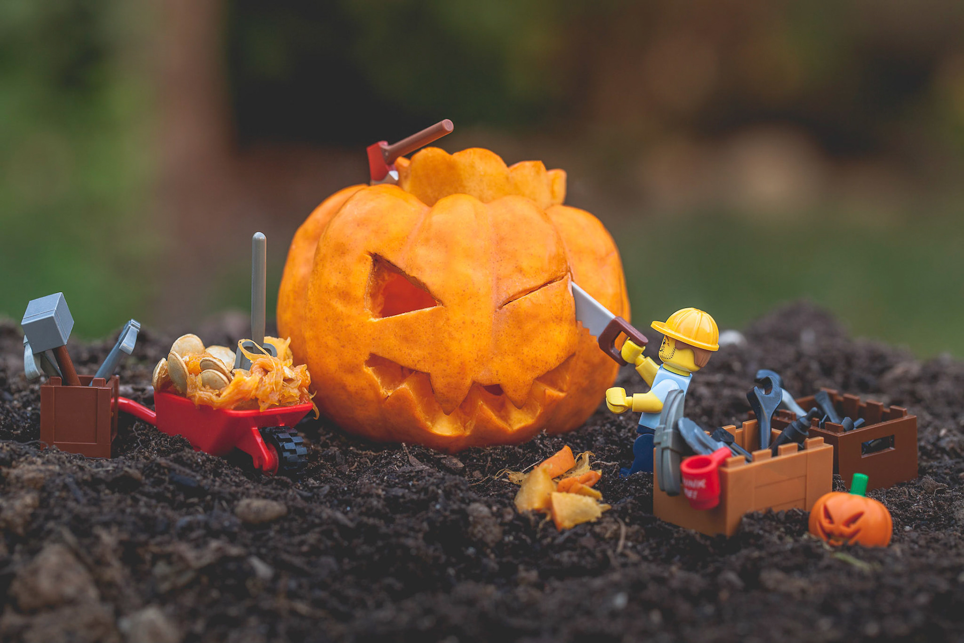 31 Octobre : Halloween