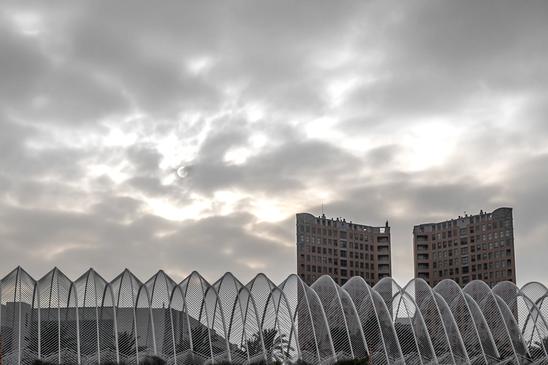 Valencia Calatrava City Of Art & Sciences