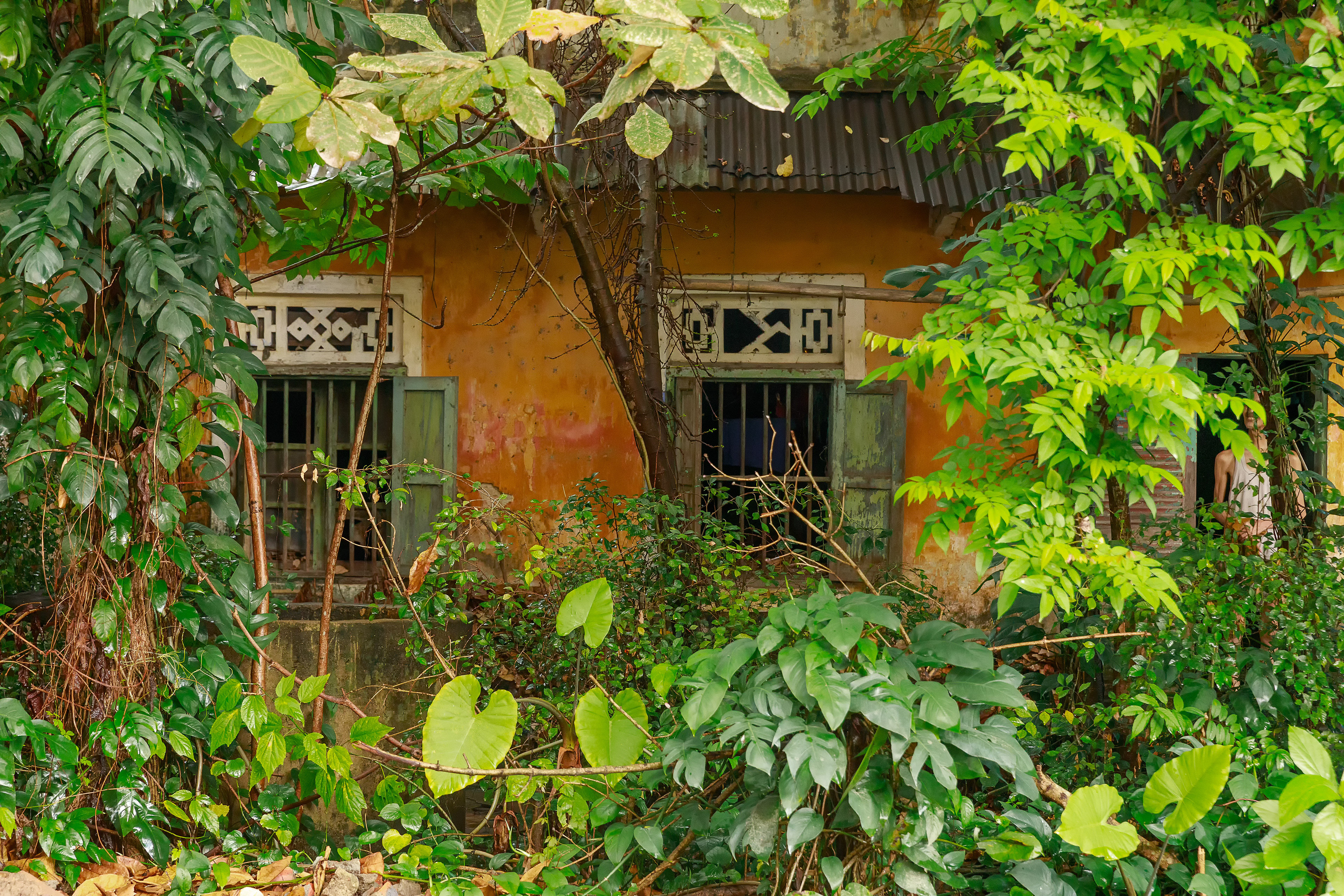 House