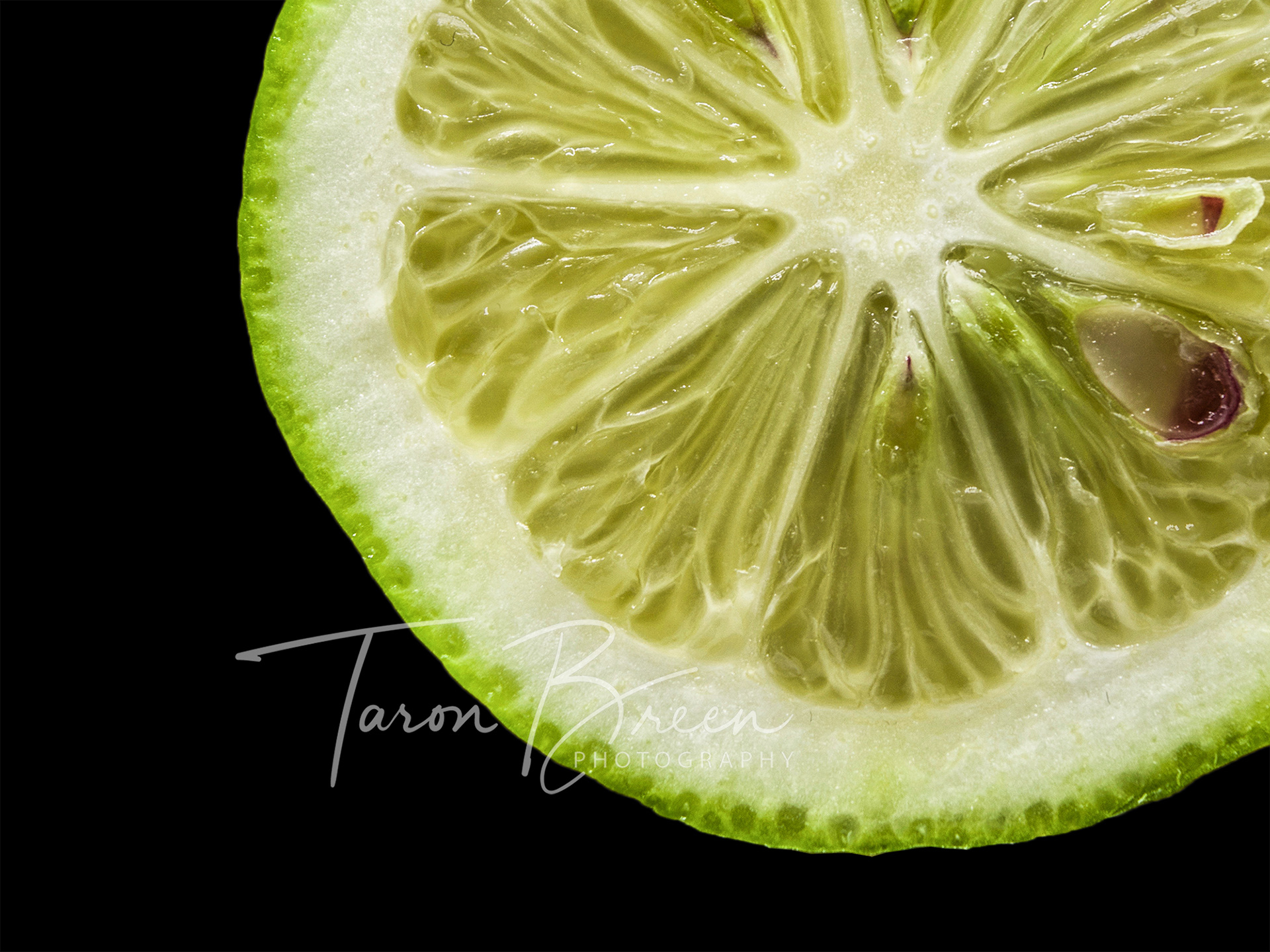 Lime Cross Section