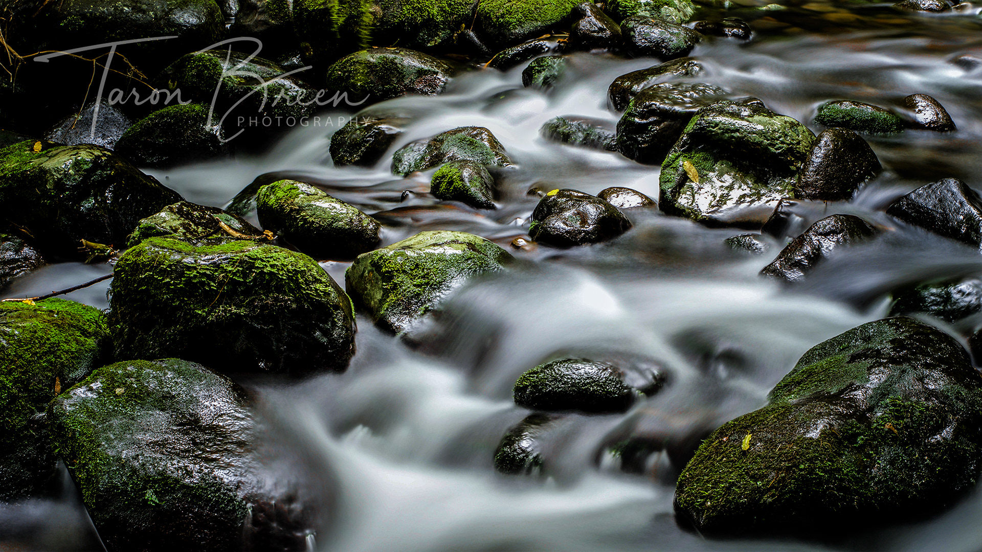 #5 | Pirongia River | Mount Pirongia | New Zealand