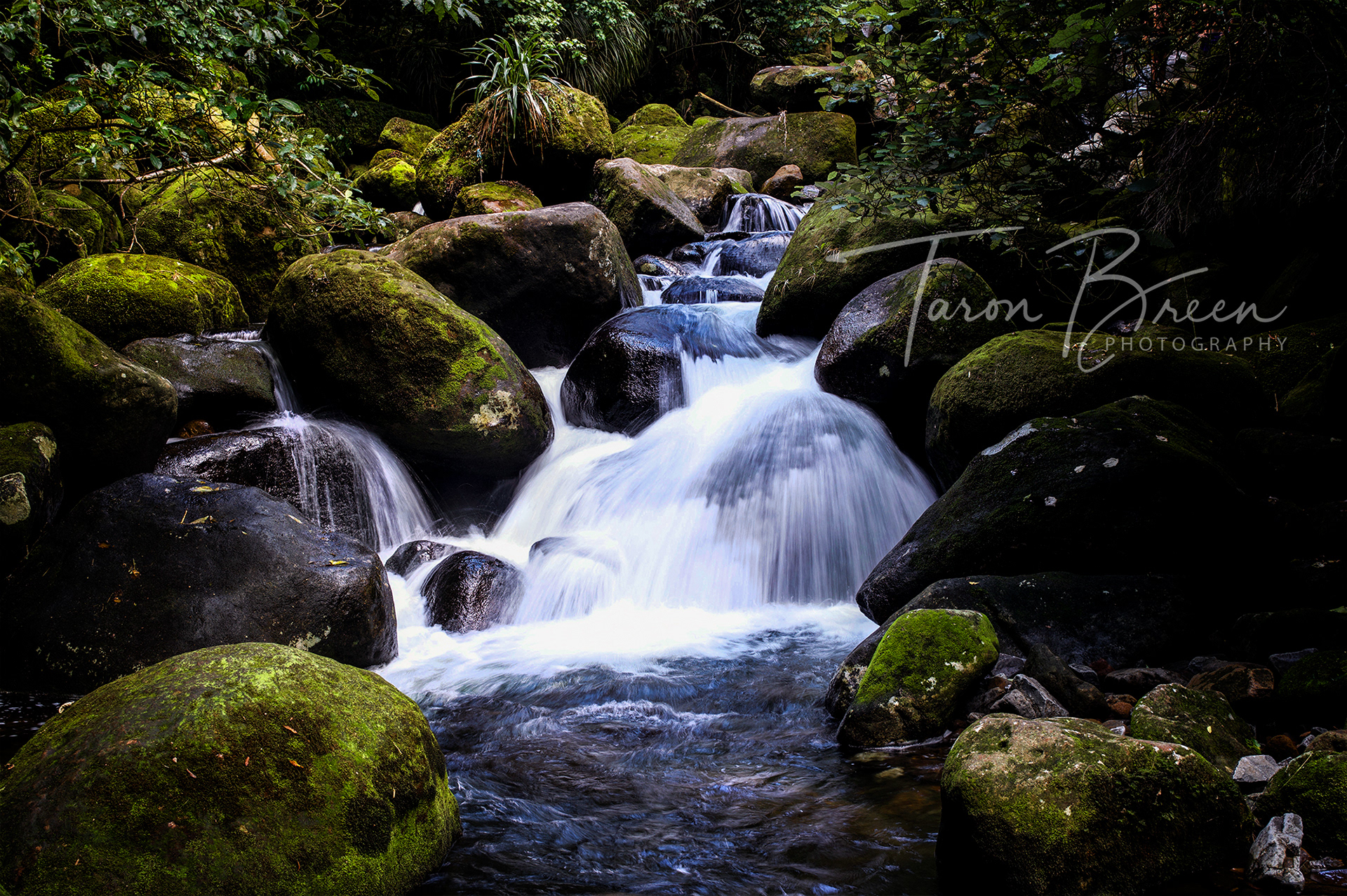 #11 | Wairere Falls | Okauia | New Zealand