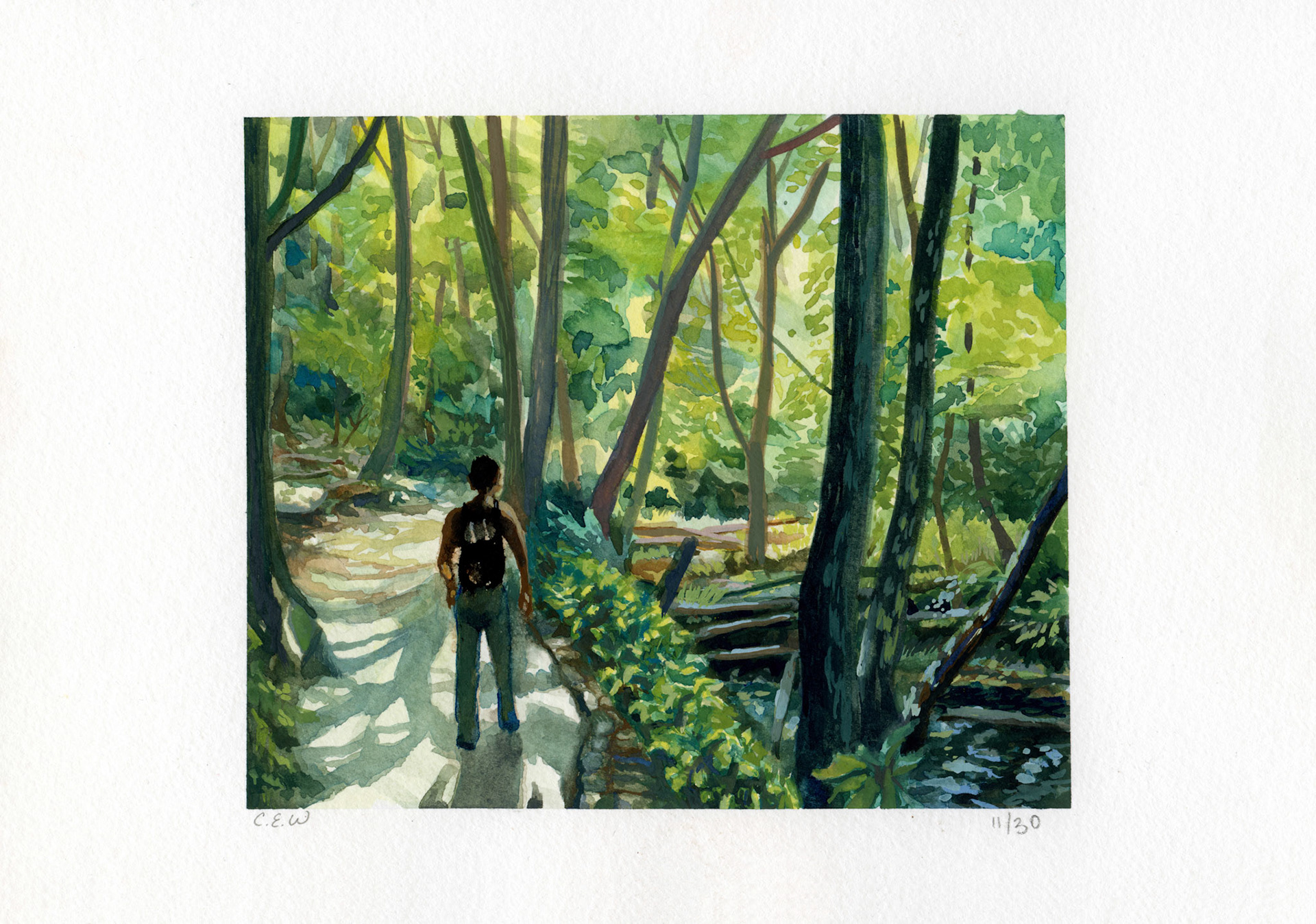 Shenandoah Trail