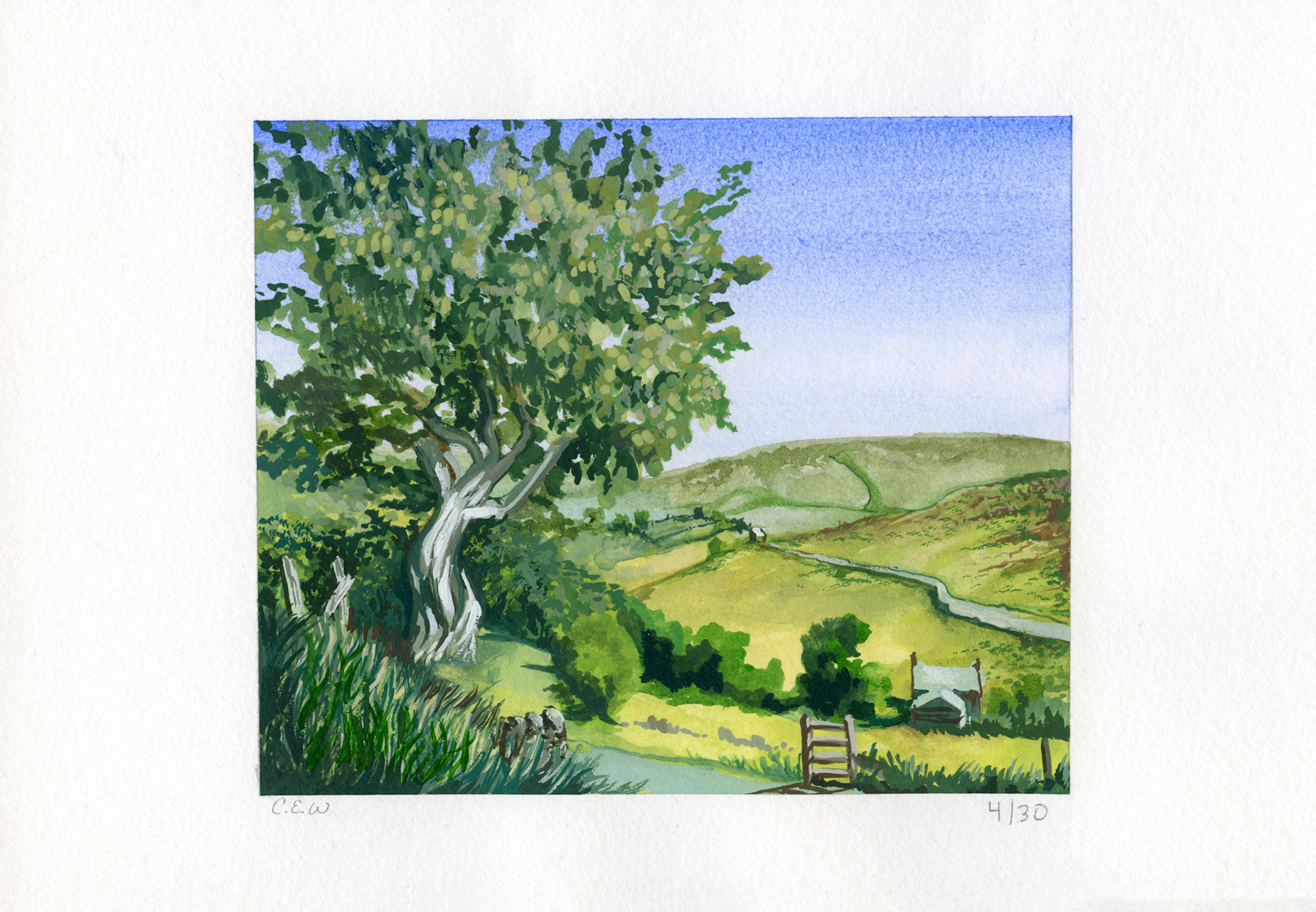 Green Pastures