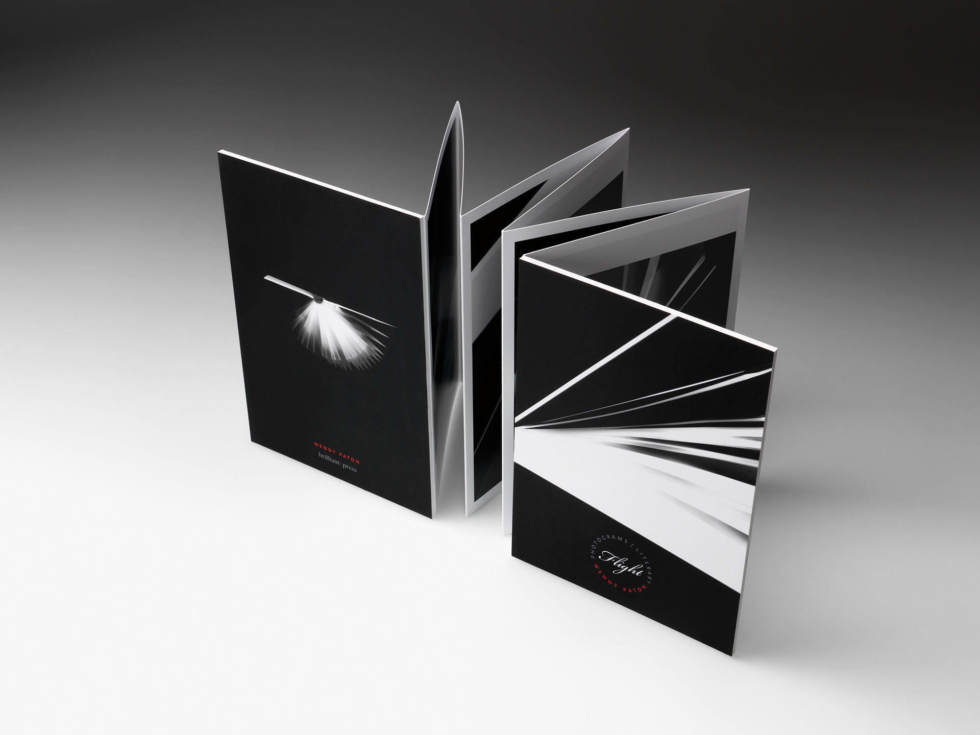 Design Accordion Fold Photography Book in Custom Slipcase