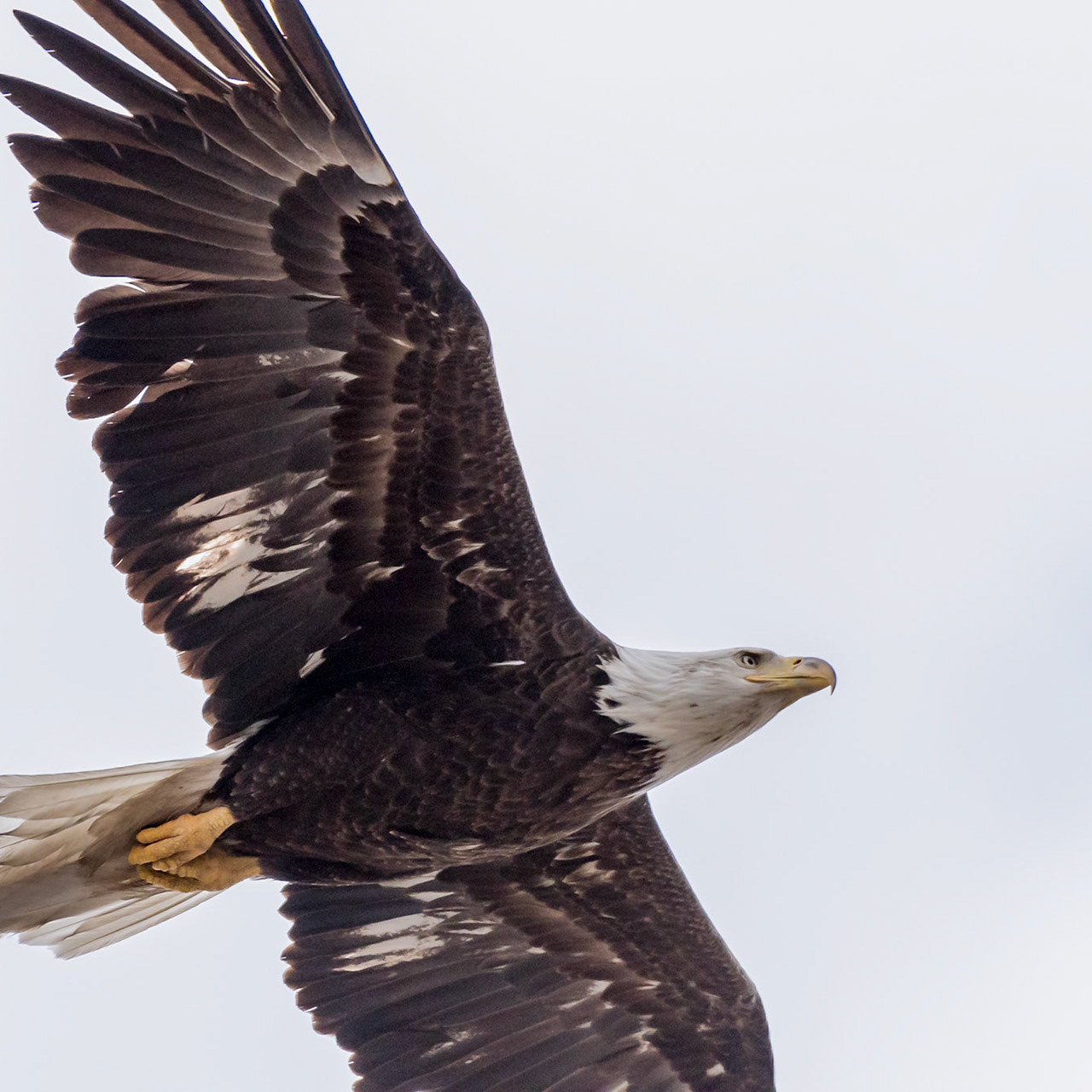 Andrew Boyden Weather