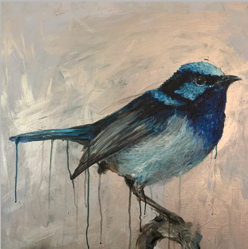August Grube, Grade 10, R Nelson Snider High School. Fairy Wren, Painting. clayton howard, Educator.