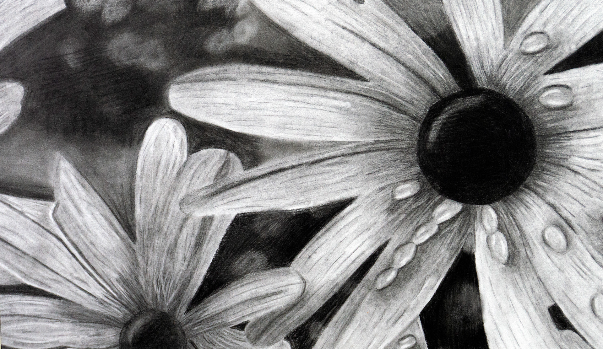 Bailey Dawalt, Grade 12, Peru High School. Wild Flowers, Drawing & Illustration. Mike Applegate, Educator.