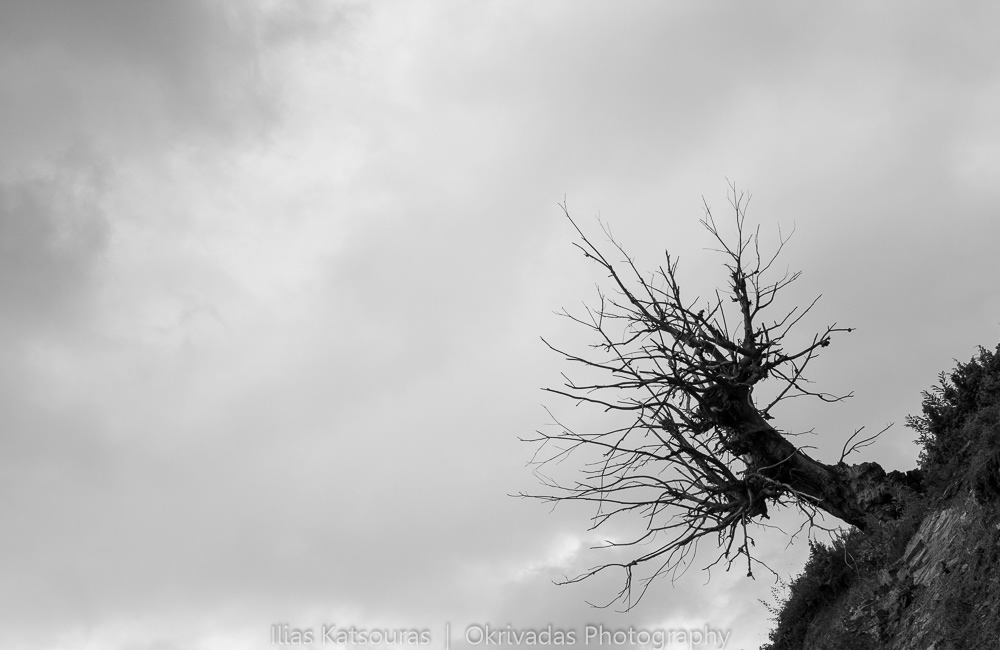 crooked,tree,landscape,pieria,panteleimonas,δέντρο,στραβό,τοπίο,πιερία,παντελεήμονας
