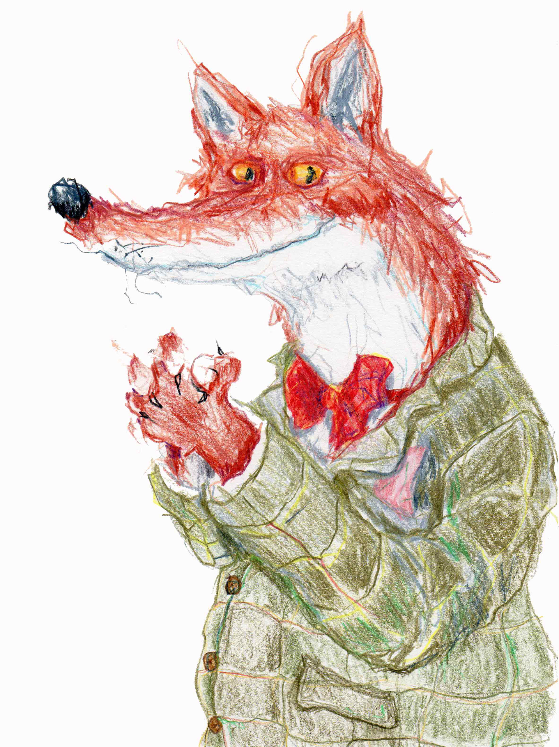 Mr Foxy