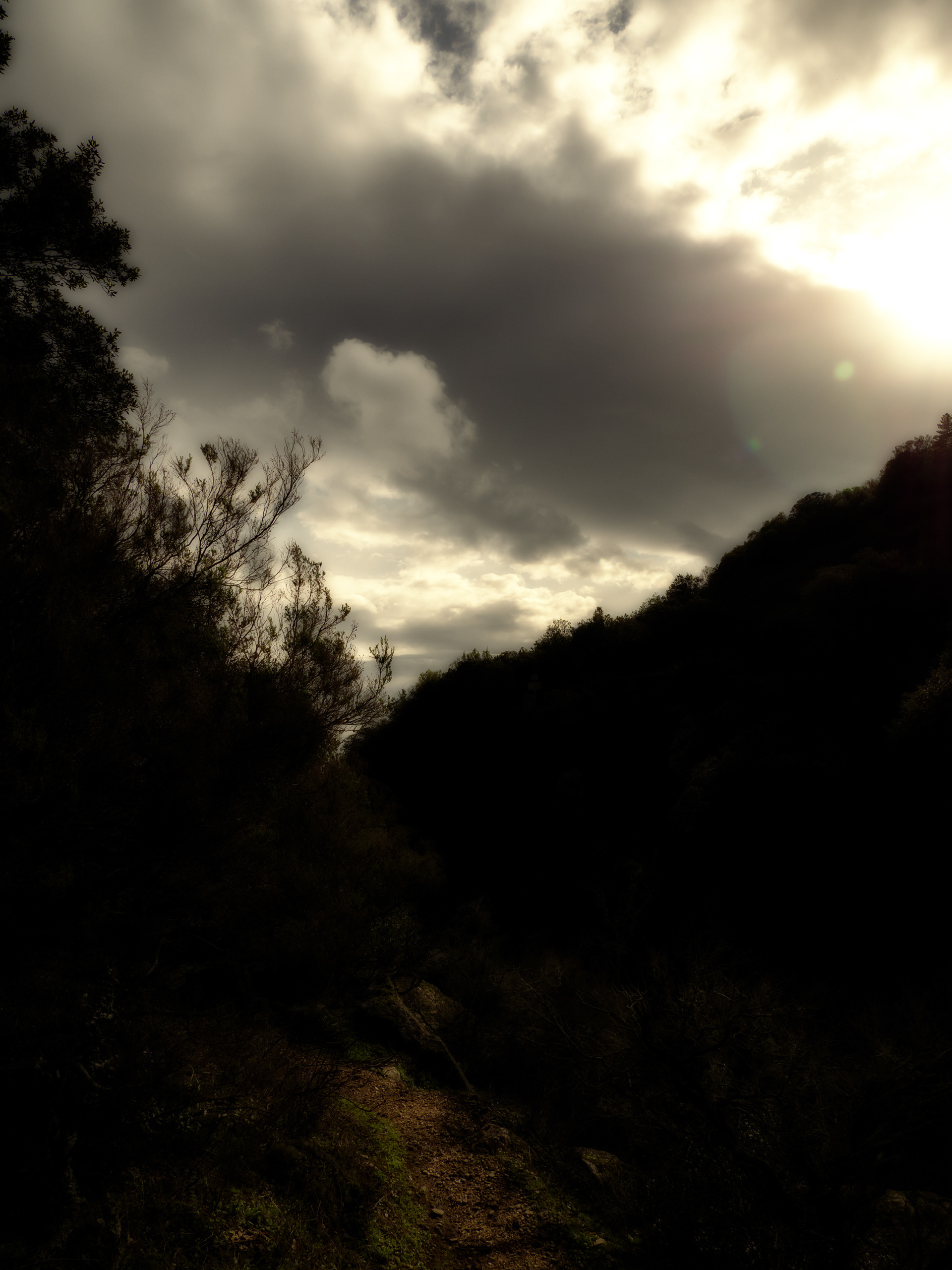Le Sentier