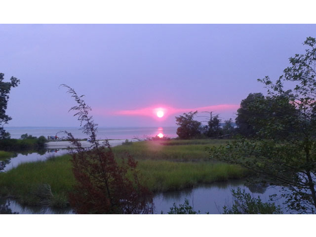 Lavender Sunset