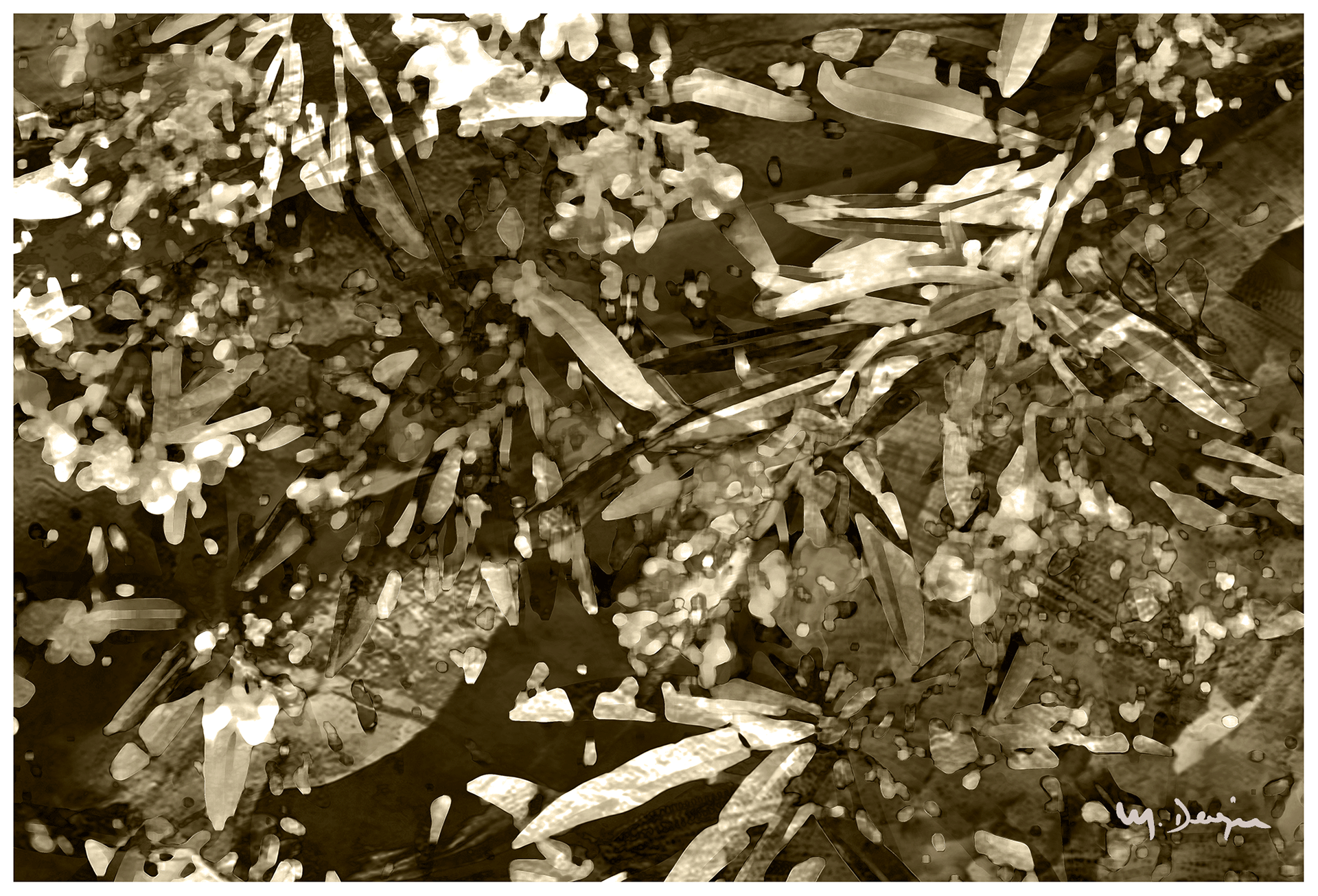 Surreal monochrome