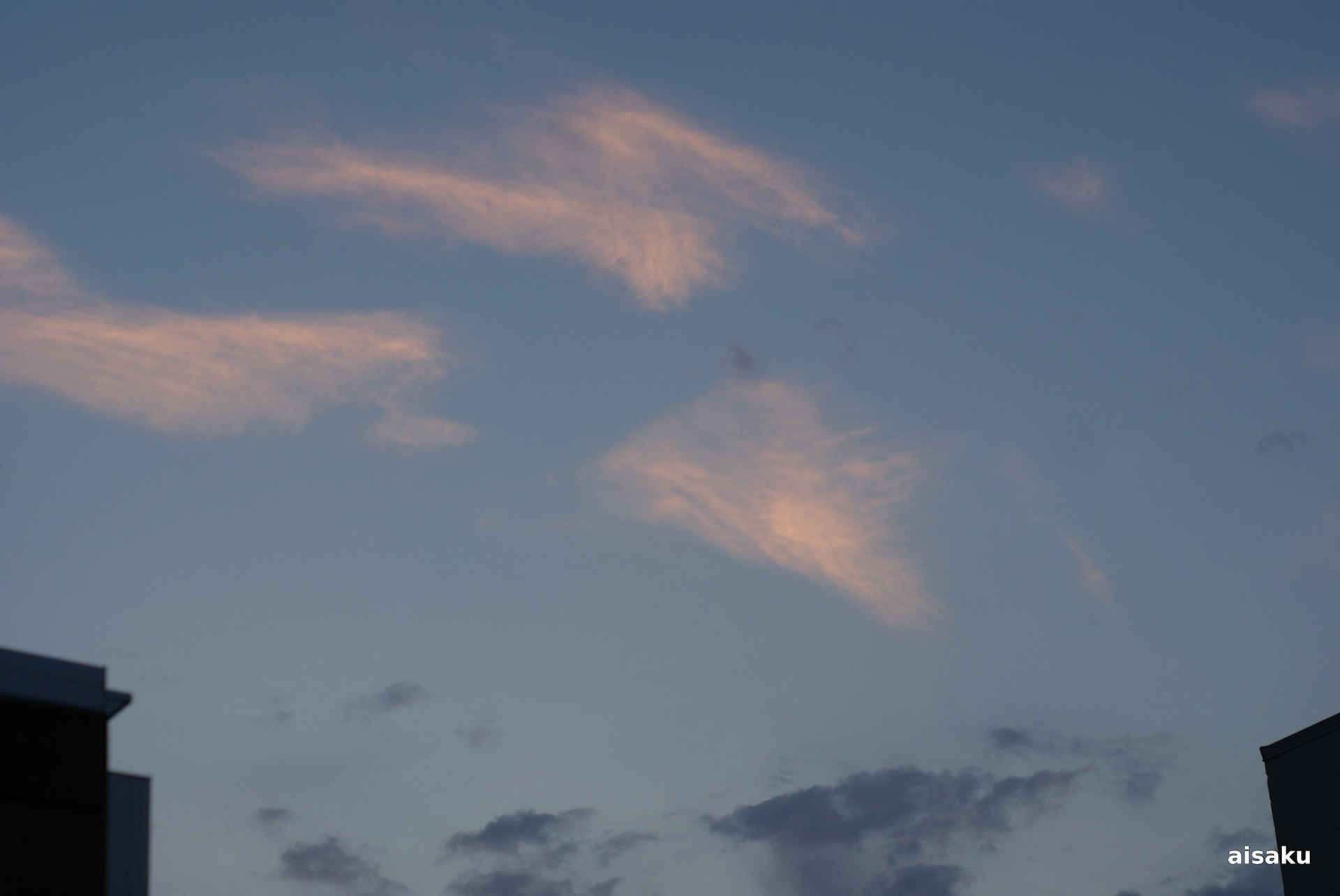 SONY DSC