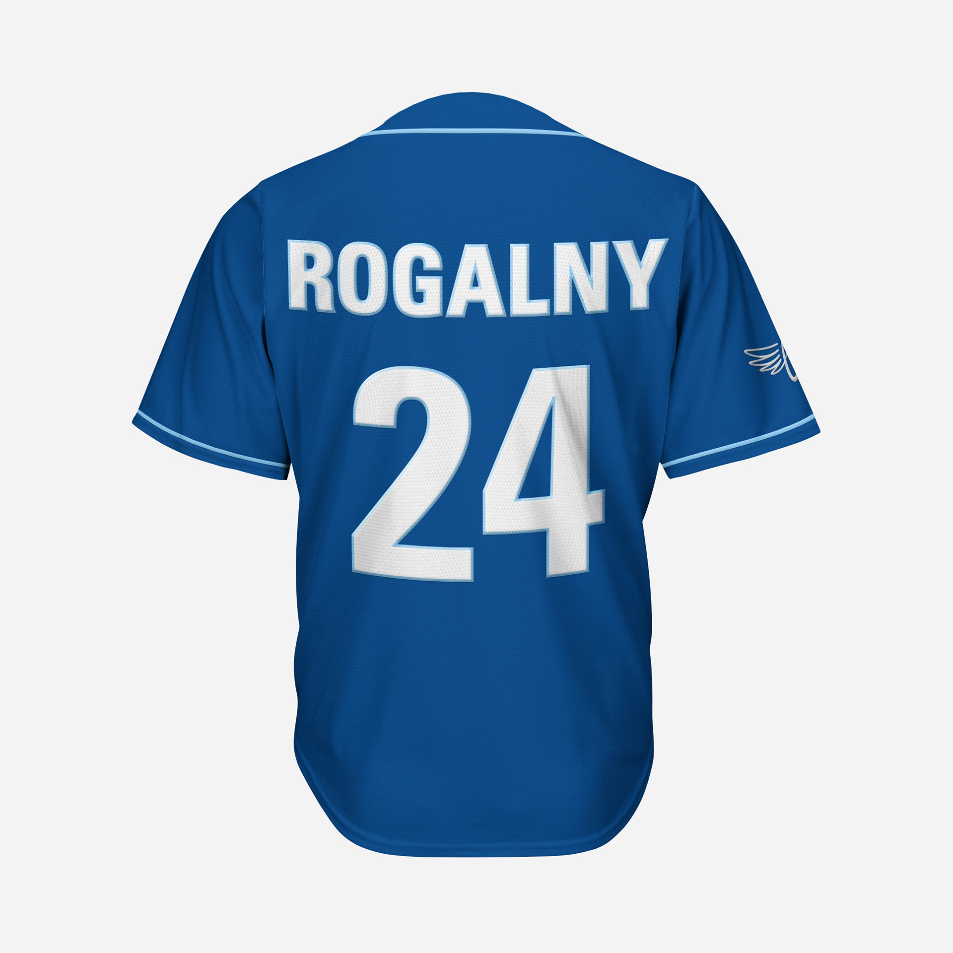 Away Jersey back