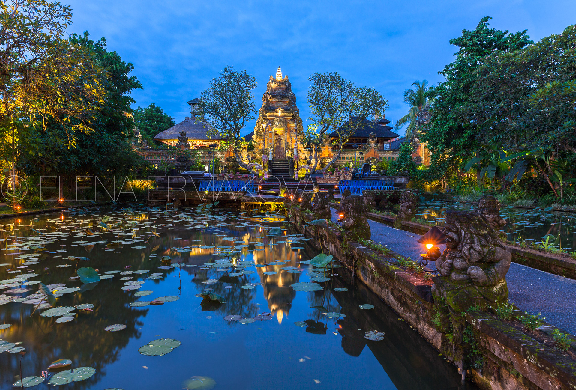 Pura Saraswati Temple with beatiful lotus pond at dusk before the dancing show, Ubud, Bali, Indonesia. Travel photography by Elena Ermakova.