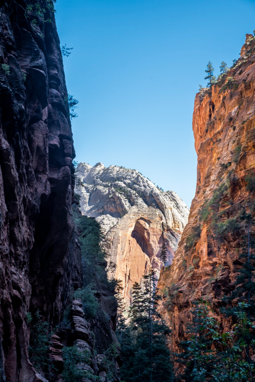 Angel's landing / Zion / Utah