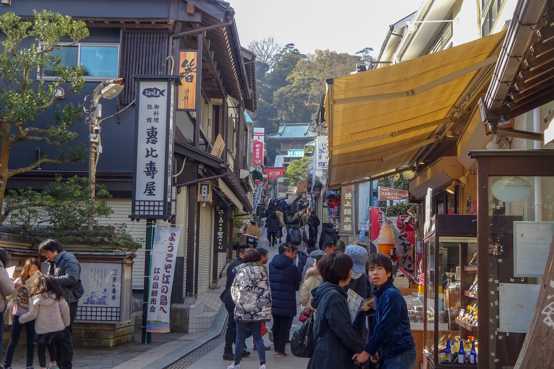 そこそこ観光客も出始めてますね。