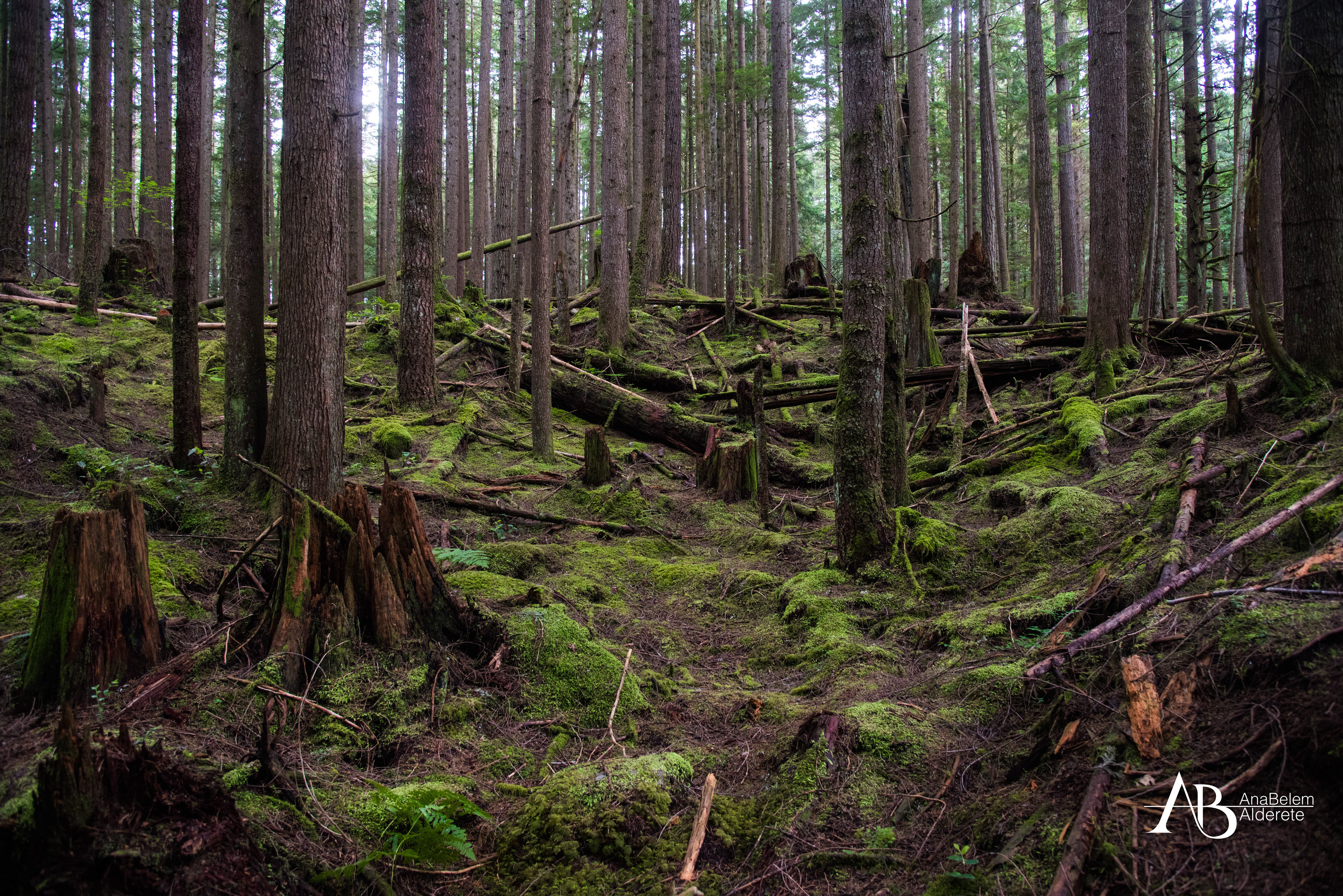 Vancouver, B. C.