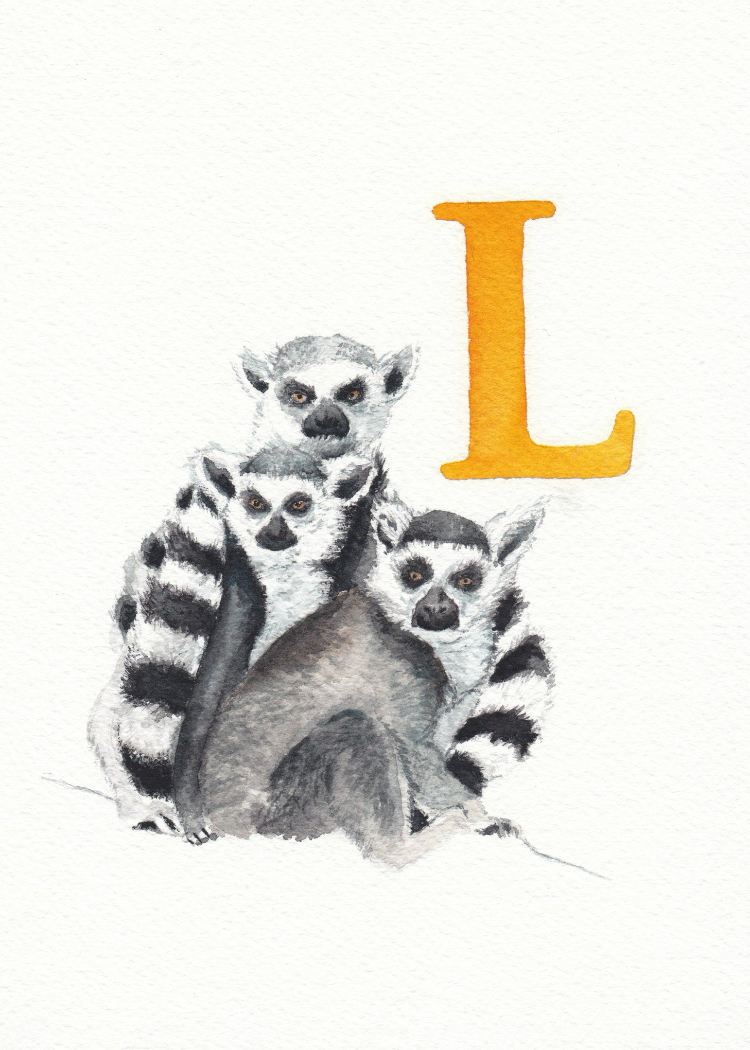 L is for Lemur