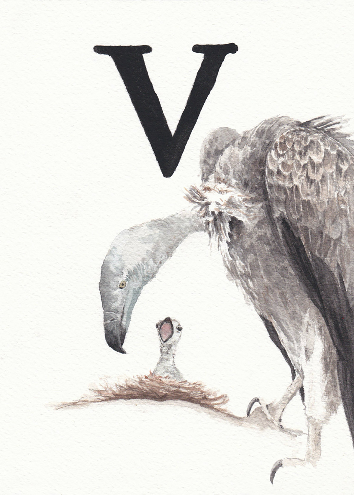 V is for Vulture