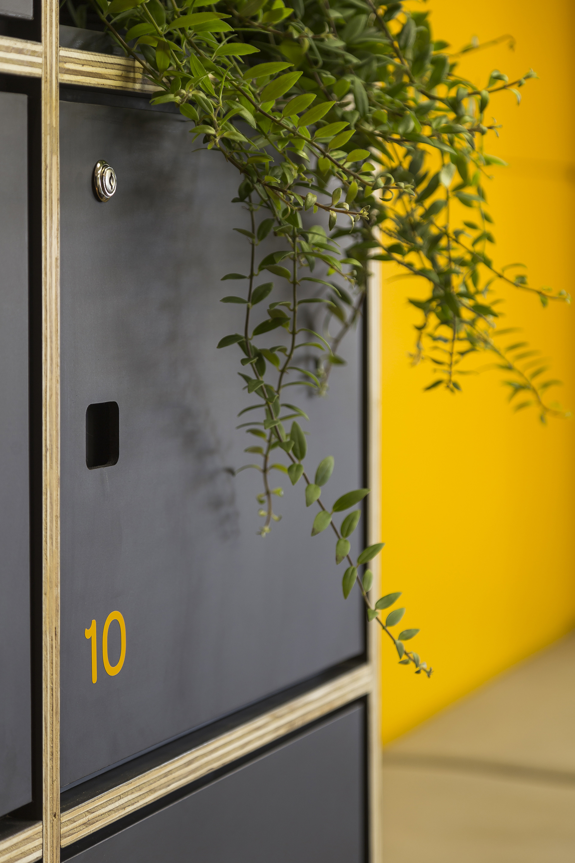 Coworking APIS | ENTRE Arquitetos