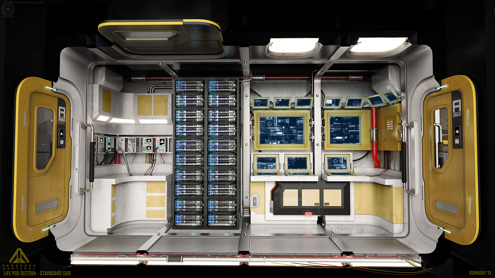 Gurmukh Bhasin VANGUARD SENTINEL STAR CITIZEN