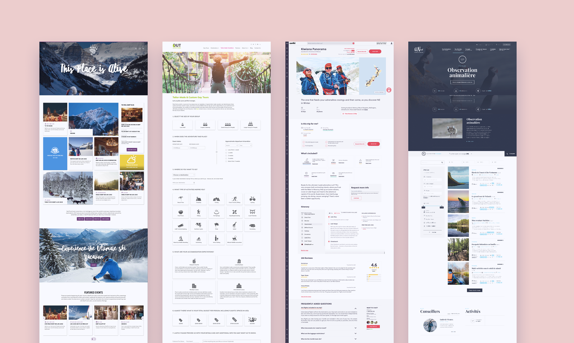 Screen captures of travel websites used in research