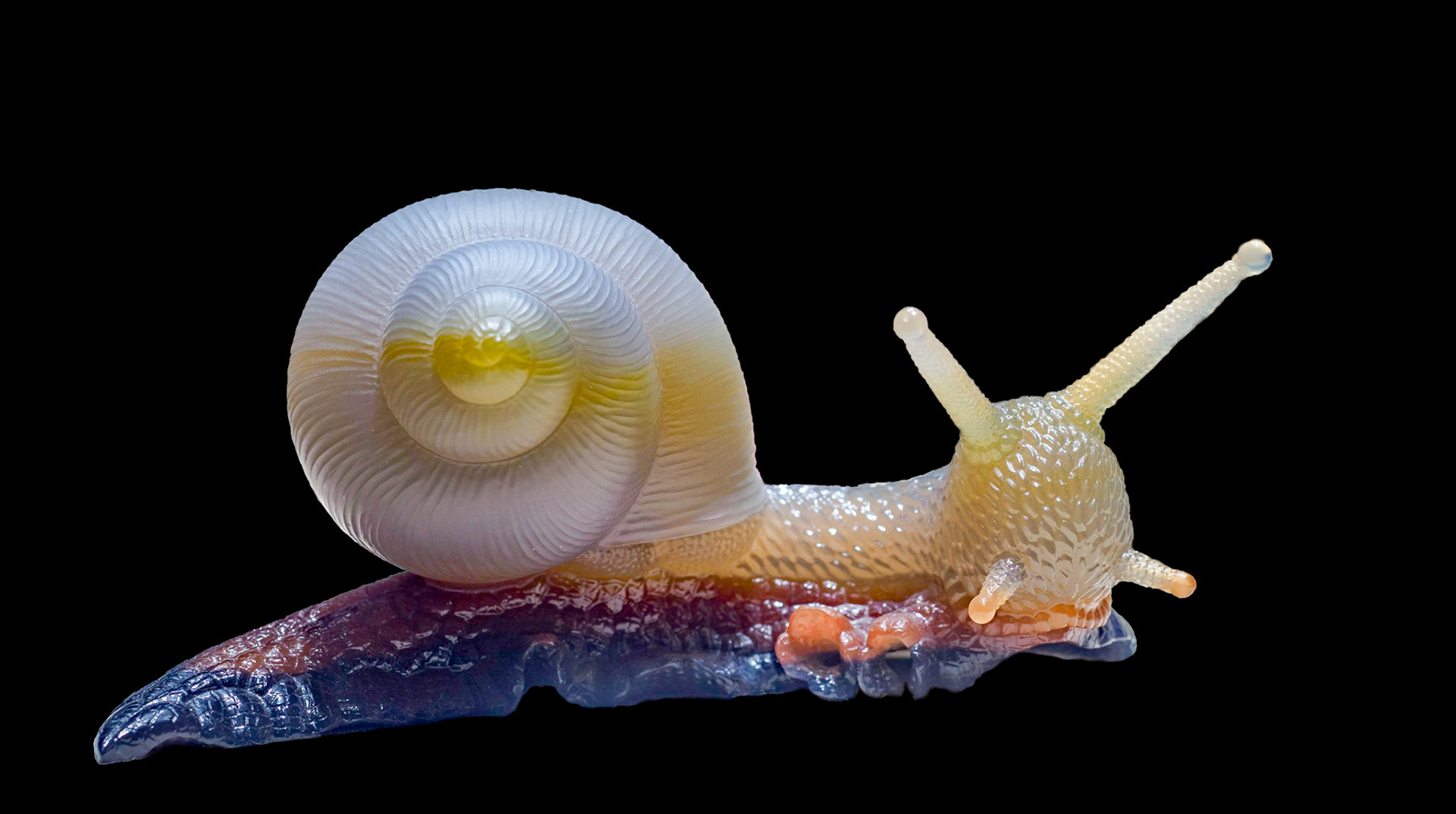 agate - Minas Gerais, Brazil