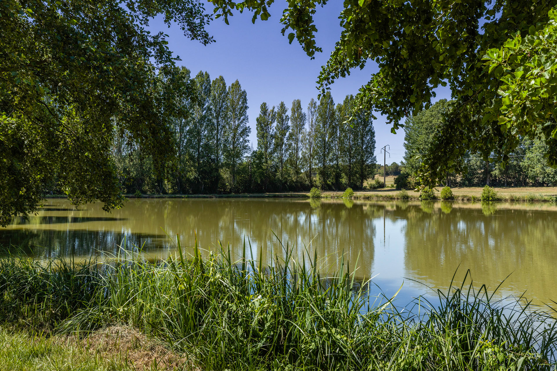 Etang Communal de Savigny-en-Sancerre