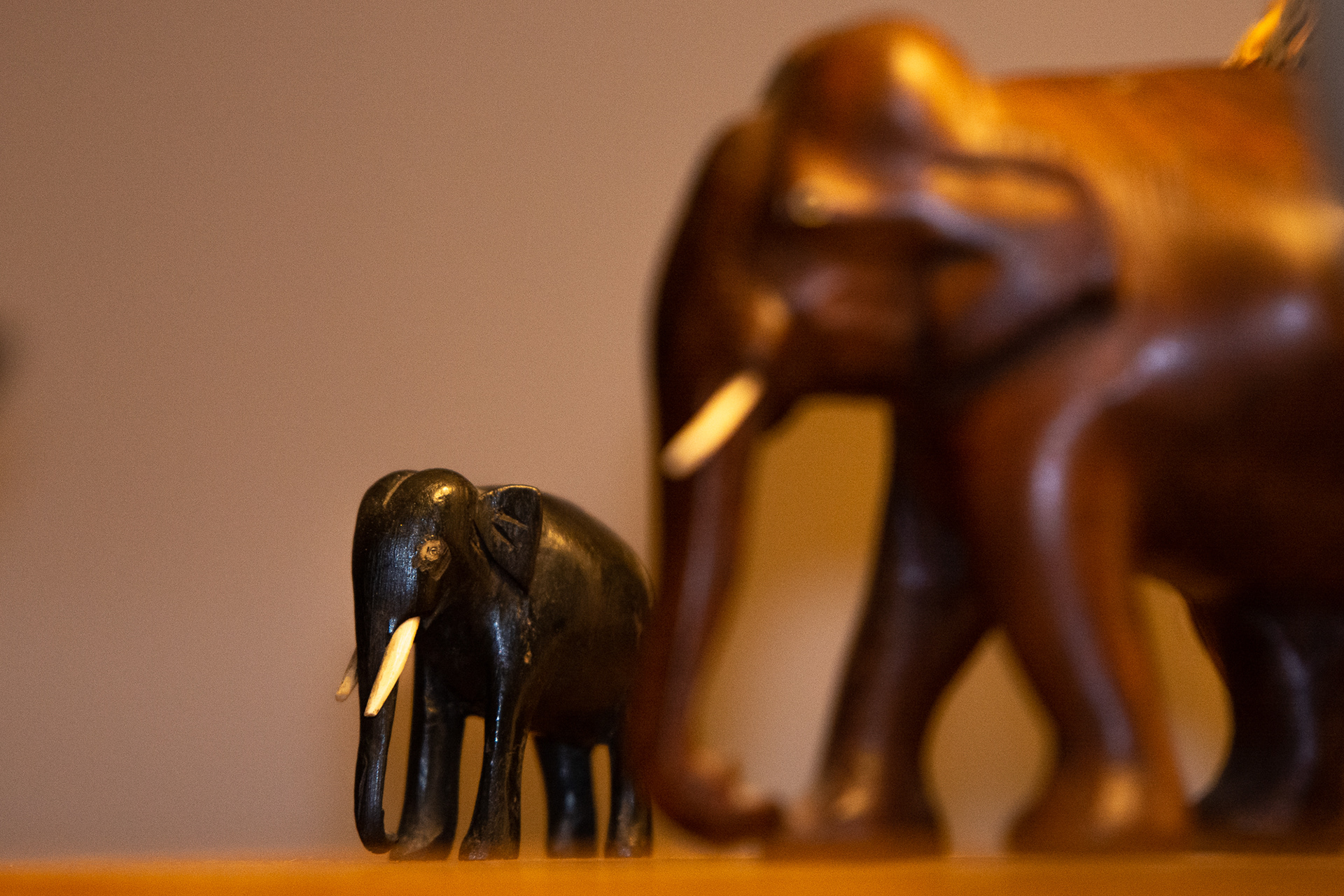 102/365 Elephast ornaments. Not getting out much these days, so here are some wooden elephants!