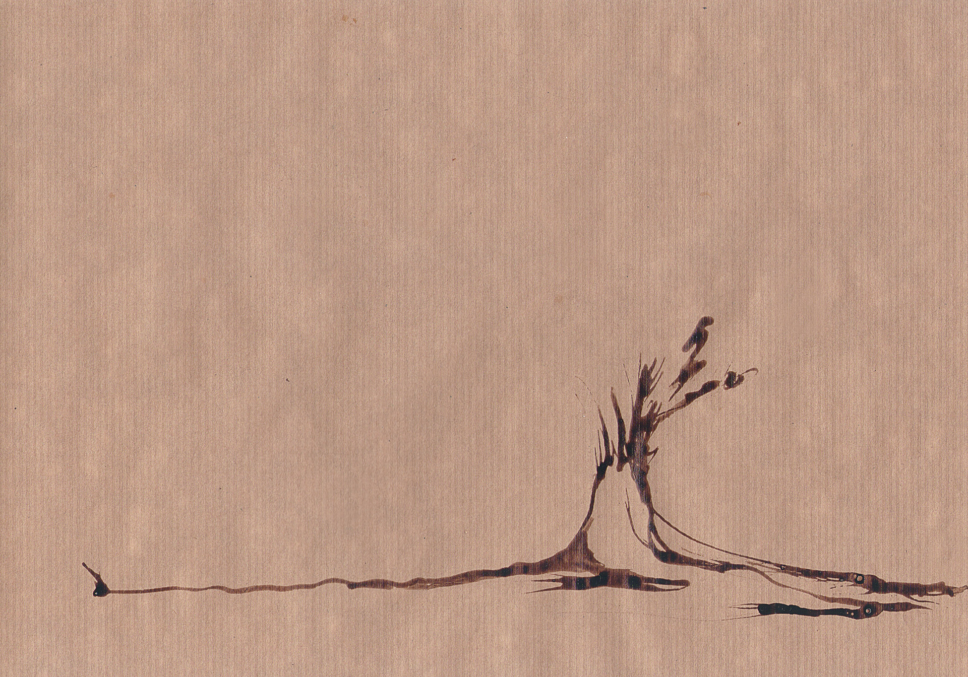 Bosque madera 01 - Tinta y barniz sobre papel de boceto encerado - 21 x 29,5 cmm - 30€