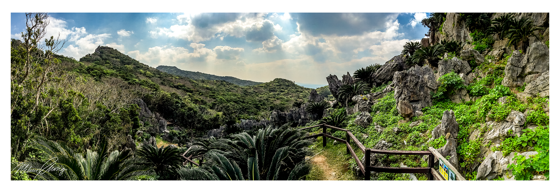 © Melvin Chong Feb 2016 | Hiking in Kunigami, Okinawa | 0387