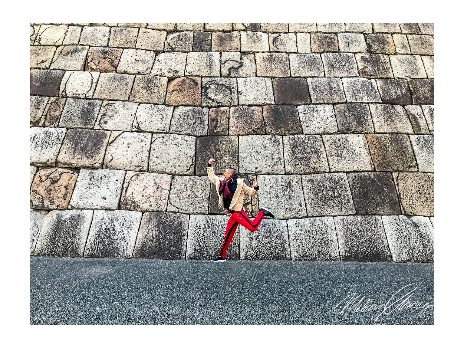 © Melvin Chong Dec 2017 | Main Donjon Edo Castle, Tokyo | 6419