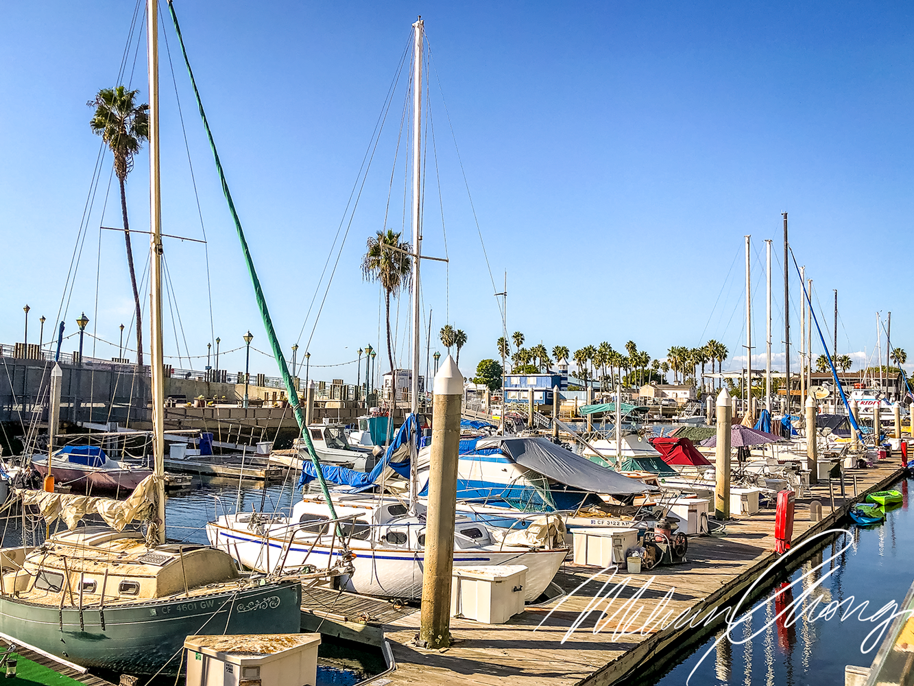 © 2019 | Redondo Beach Pier | 1548