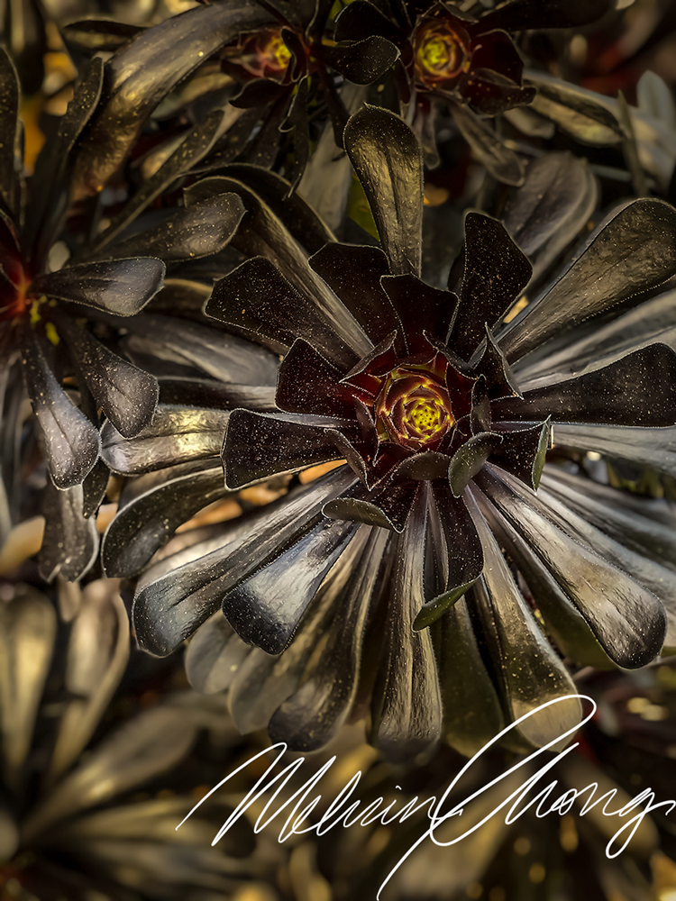 © 2019 | 0264