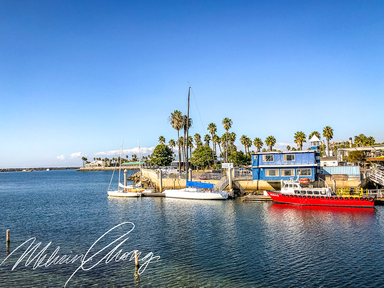 © 2019 | Redondo Beach Pier | 1545