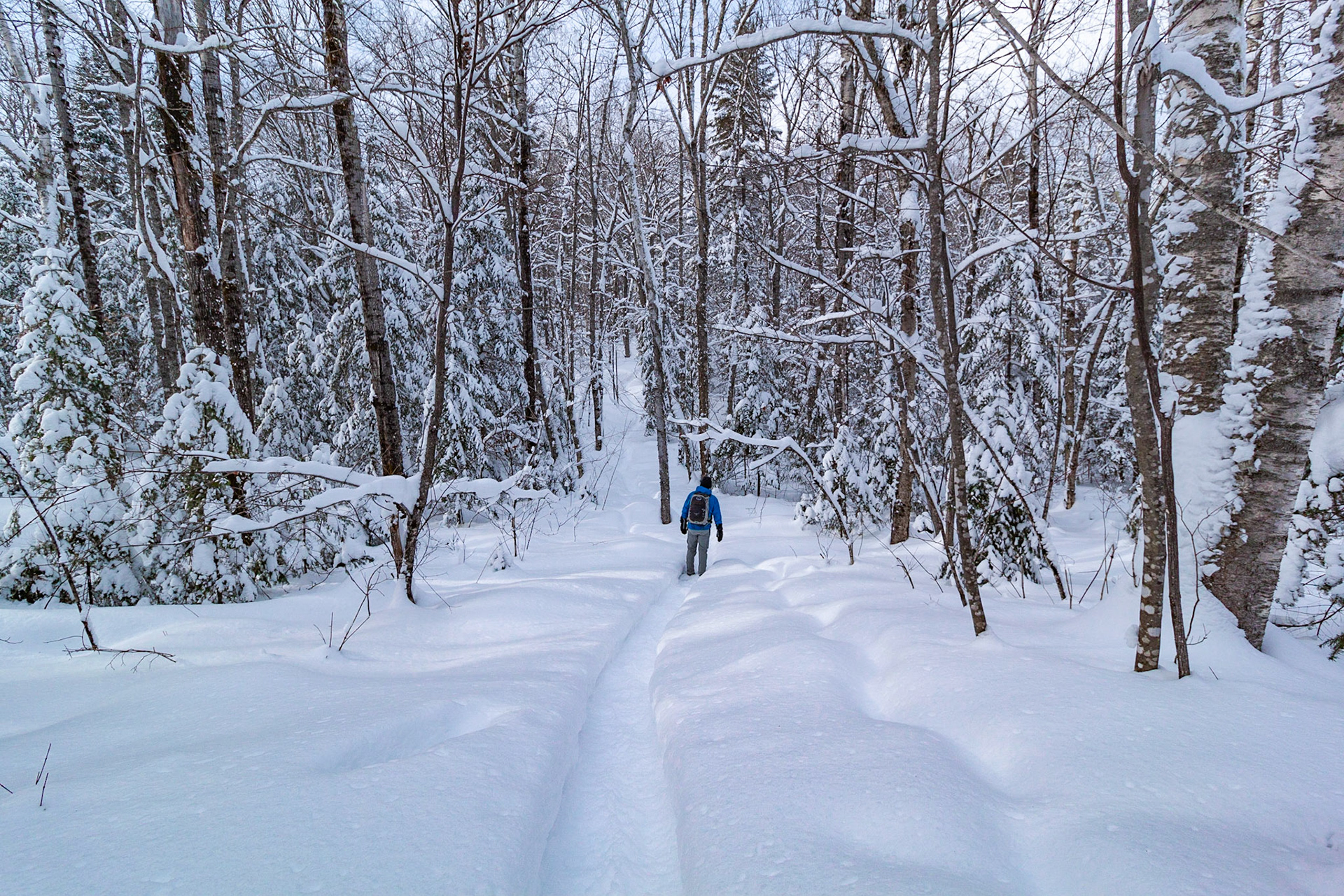 Parc Régional du Lac Taureau