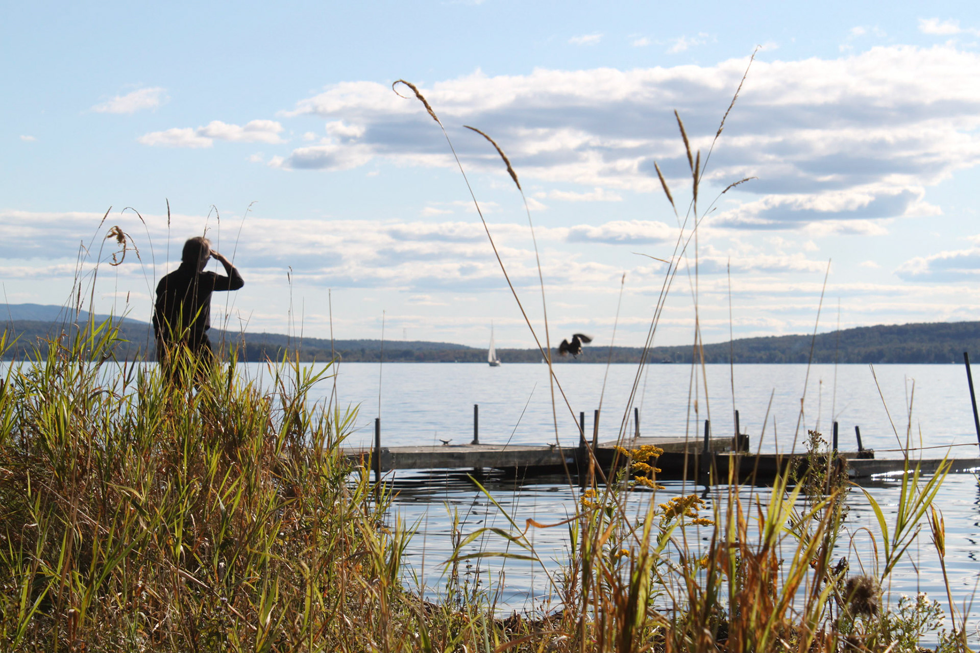 Lac Brome 2011-09