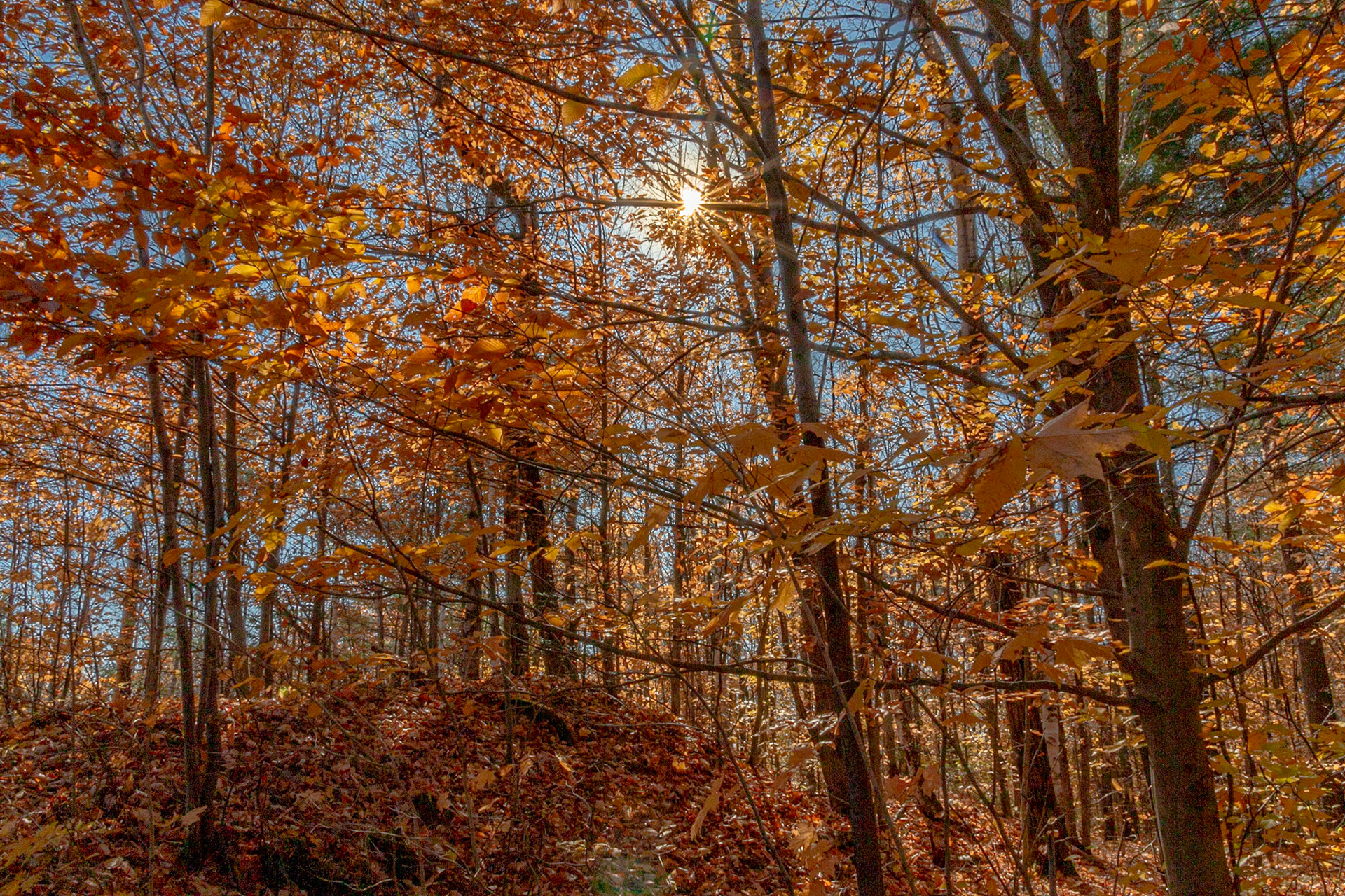 Sainte-Mélanie, Qc